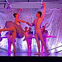 Ballet clásico «Don Quijote»