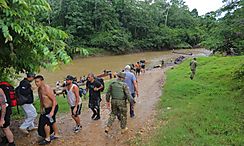 Panamá registra una disminución del 93 en el ingreso de migrantes irregulares en enero de 2025