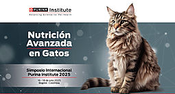 
Innovación en nutrición felina: veterinarios pueden participar gratuitamente del Simposio Internacional de Purina 2025
