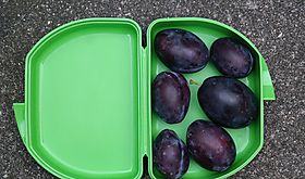 MEDUCA licita suministro de comida por más de 29 millones MEDUCA licita suministro de comida por más de 29 millones