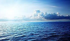 Mulino sanciono ley que establece Áreas Marinas Protegidas en Alta Mar Mulino sanciono ley que establece Áreas Marinas Protegidas en Alta Mar