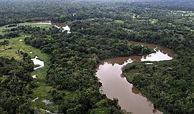 COP16 impulsa Red BioAmazonia COP16 impulsa Red BioAmazonia