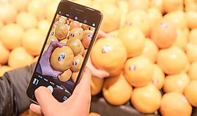 Caribowox Panamá inicia exportaciones a las Islas Martinica y Guadalupe Caribowox Panamá inicia exportaciones a las Islas Martinica y Guadalupe