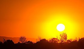 2024 ha sido el año más cálido registrado a nivel mundial 2024 ha sido el año más cálido registrado a nivel mundial