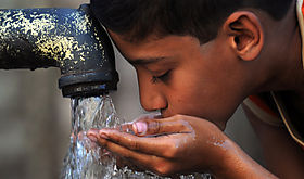 Cambio climático tiene relación directa con inseguridad alimentaria mundial Cambio climático tiene relación directa con inseguridad alimentaria mundial