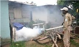 Ms muertes en Panam por dengue