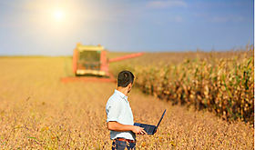 FAO destaca el potencial de la IA para transformar los sistemas agroalimentarios