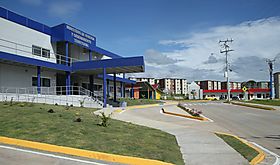 Miviot beneficia a 260 familias en Bocas del Toro a través del Plan Progreso Miviot beneficia a 260 familias en Bocas del Toro a través del Plan Progreso