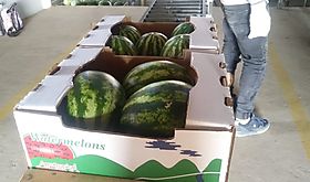 Exportaciones panameas aumentan un 16 en los primeros nueve meses de 2024