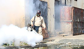 Semana de Acción Contra los Mosquitos Semana de Acción Contra los Mosquitos