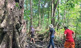 Aumenta el turismo en Panam en los primeros meses de 2024