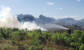 Coordinacin y preparacin clave en la prevencin de incendios forestales