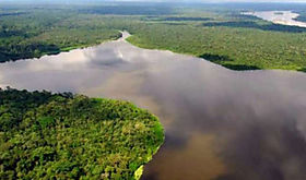 Brasil lanza plan contra crimen en selva amaznica