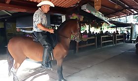 La Ternera Restaurante Bar Un concepto gastronómico que no podrás dejar de conocer camino a las playas o el interior del país La Ternera Restaurante Bar Un concepto gastronómico que no podrás dejar de conocer camino a las playas o el interior del país