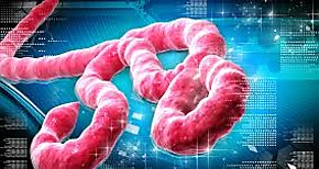 OMS y Alemania lanzan nuevo centro mundial de inteligencia ante pandemias y epidemias