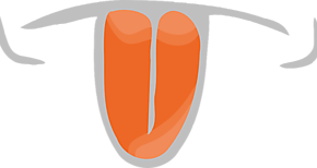 Lenguas electrnicas para la deteccin precoz y seguimiento del cncer de vejiga