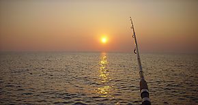 Panam y Marine Protection Alliance unen esfuerzos contra la pesca ilegal