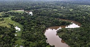 COP16 impulsa Red BioAmazonia