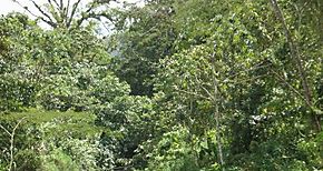 Da Internacional de las Reservas de la Biosfera