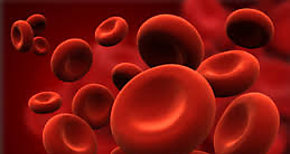 El control de la interaccin de clulas sanguneas como nuevo paradigma de la medicina