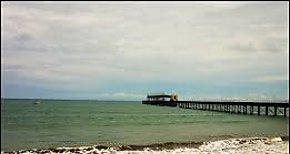 La AMP extiende plazo a empresas interesadas en la construccin del muelle fiscal de puerto armuelles