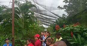 Jornada pedaggica de agroturismo