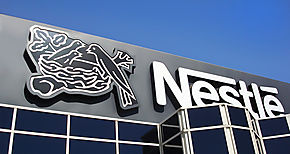 Nestl y Banvivienda lanzan proyecto de incremento de productividad lechera