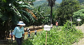 Cocl y Huertos Escolares de Centros Educativos Bsicos