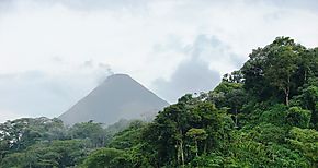 Proyecto 5 Grandes Bosques de Mesoamrica