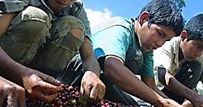 Promueven creacin de red de empresas contra el trabajo infantil