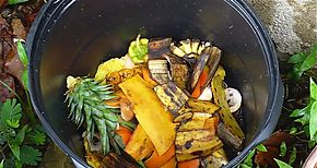 Consumo excesivo afecta medio ambiente e impacta en los nios