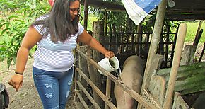 Mujeres rurales de AL son invisibles indispensables y sobreexigidas