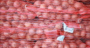 Rueda de negocios en Nata con productores