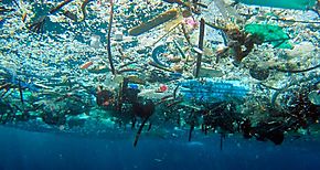 Cuatro mil toneladas de basura se generan diariamente en Panam