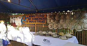 XII Feria de Tonos impulsa turismo agro industria y folclore en la regin