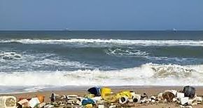 31 aos de limpiezas de playas costas y ros