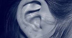 Patrones dietticos saludables para evitar la prdida auditiva