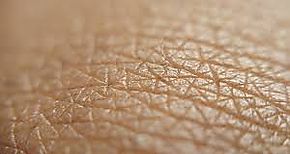 Cientficos desarrollan material biomdico para regeneracin de piel