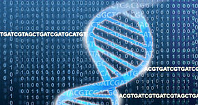 La edicin gentica an no est preparada para tratar a pacientes