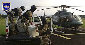 Golpe al narcotrfico en Coln