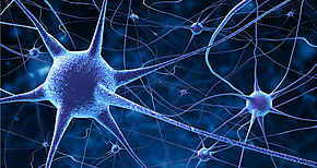 Potentes rayos X revelan diferencias nicas en las neuronas de los esquizofrnicos