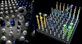 Insertar molculas en bacteria podra ayudar a diagnosticar enfermedades