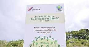 Comienza restauracin ecolgica de primera hectrea de cantera de CEMEX