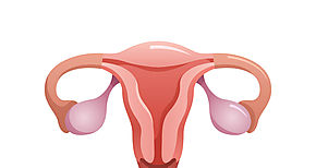 kits para test casero para prevenir cncer de cuello uterino