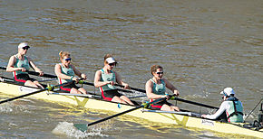 Las mujeres prehistricas tenan brazos ms fuertes que las remeras de lite 