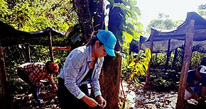 EcoISAE realiza jornada de voluntariado Ecolgico