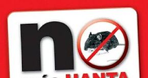 Infeccin por Hantavirus 