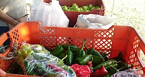 Beneficiarios del Programa de Bono Nutricional venden productos