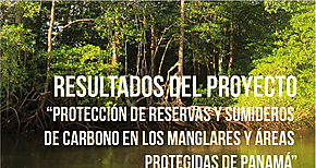 Presentan resultados de estudios de Manglares del Oriente Chiricano 