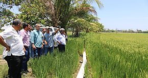 Piden al Gobierno seguir Plan Maestro del Agro en la Regin Occidental 